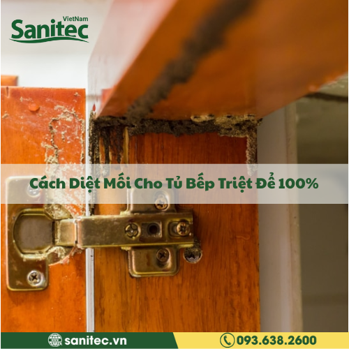 Cách Diệt Mối Cho Tủ Bếp Triệt Để 100%